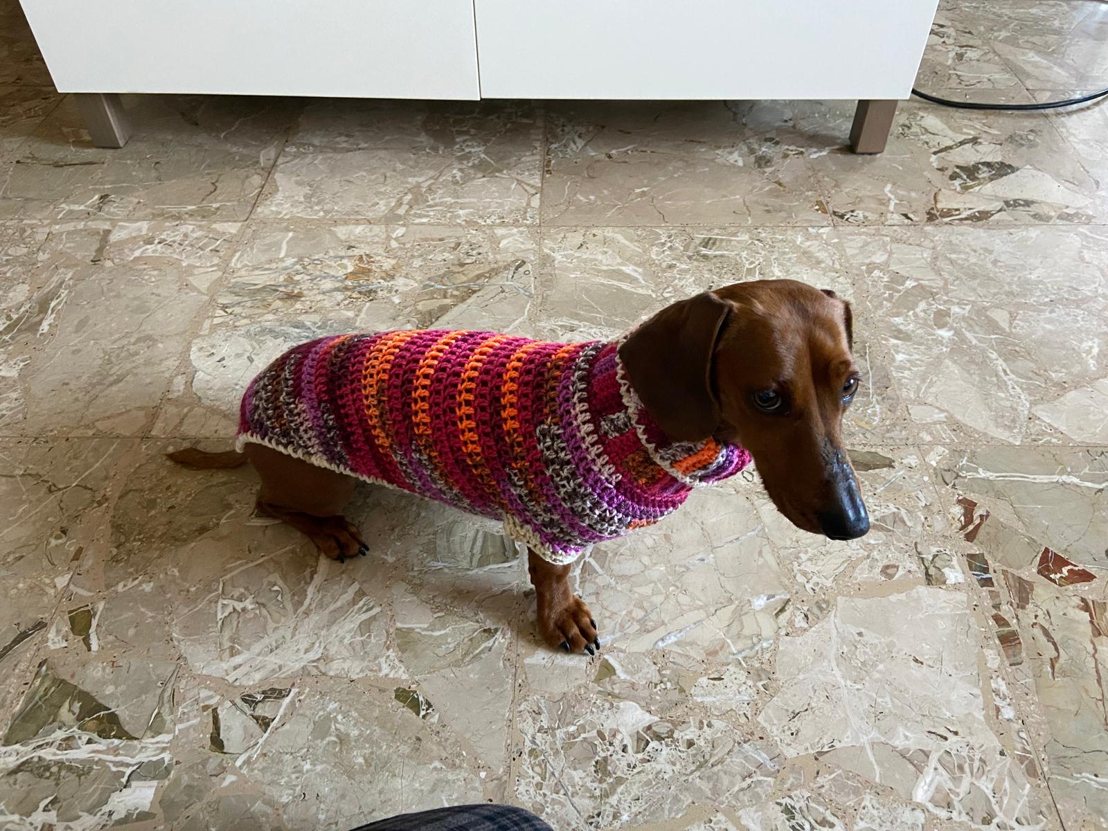 Cappottini per cani — su misura per il tuo baubau, lana morbida