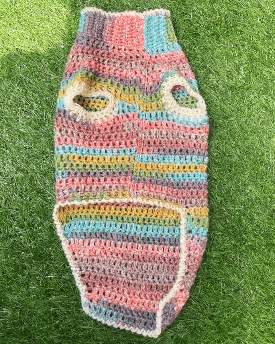 Maglioncino per Bassotto "Rainbow Hug" — foto 5
