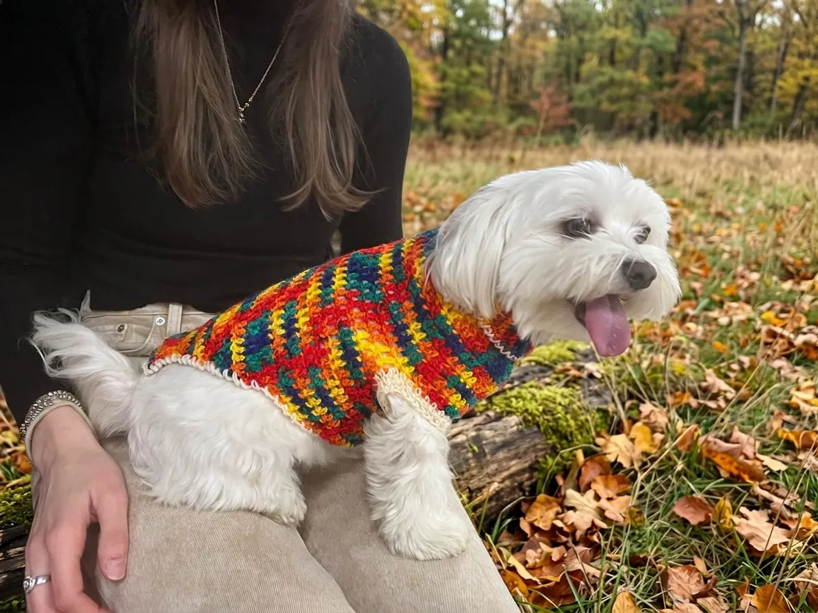Maglioncino per Cani "Rainbow Hug" — all'uncinetto fatto a mano — foto 2