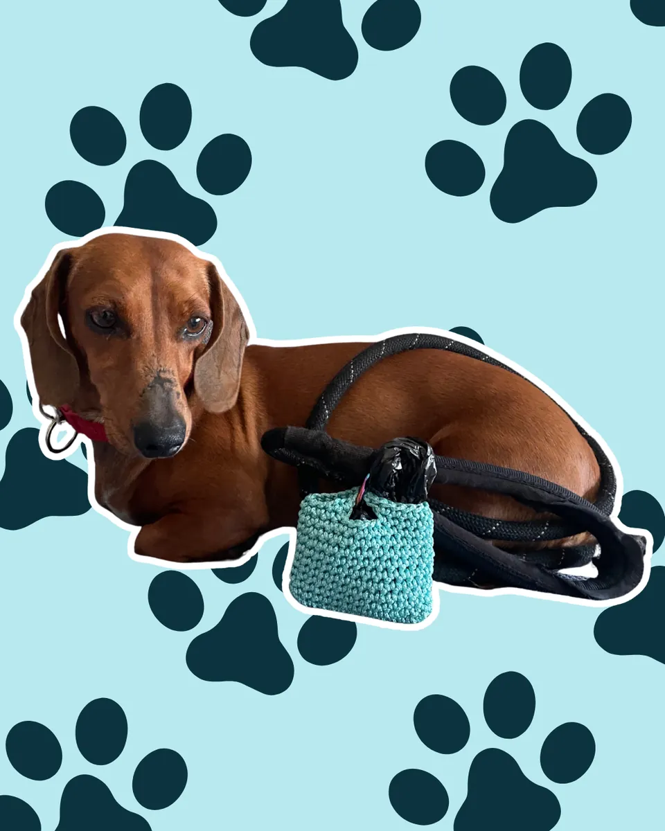 POOP BAG | Porta Sacchetti Igienici Crochet "Bau Bag" - Uncinetto Fatto a Mano a Bergamo — foto 2